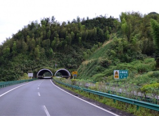 585b1003679896810.jpg