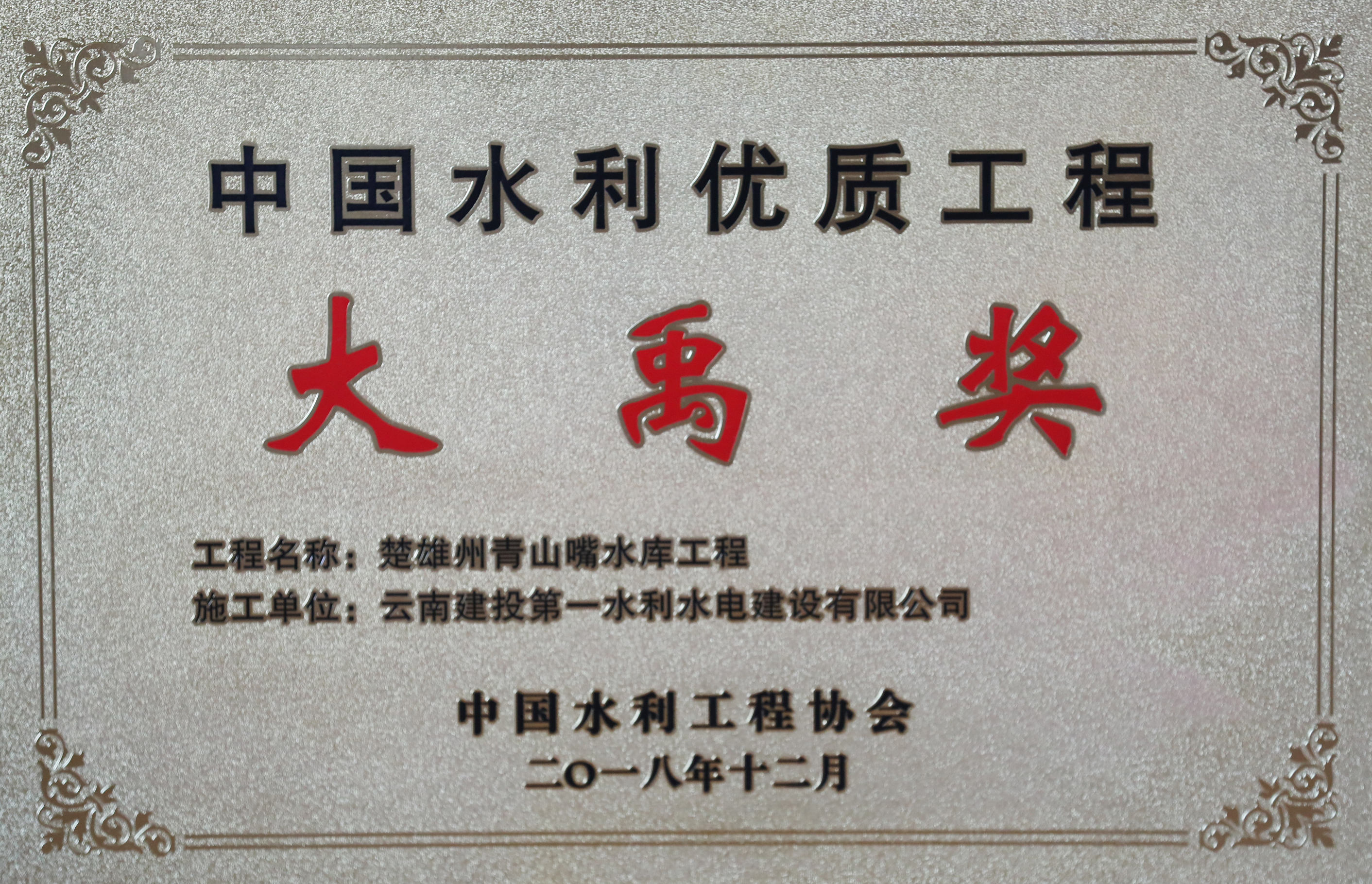 大禹奖.jpg